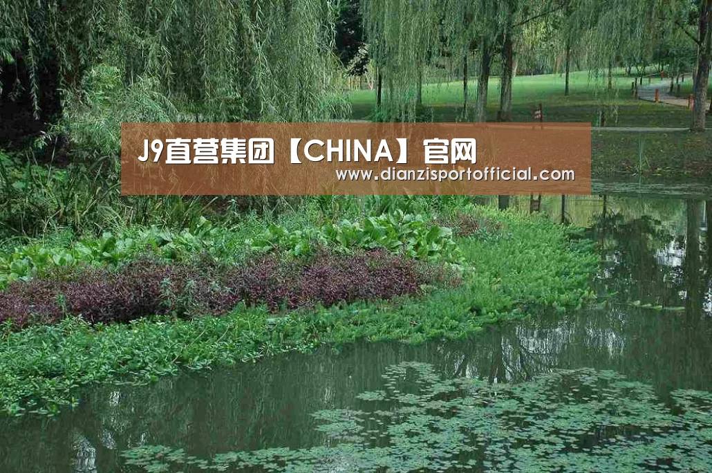 案例展示一(图1)