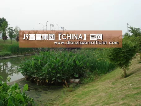 案例展示四(图1)