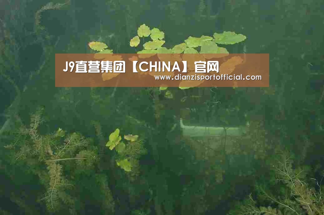 案例展示三(图1)