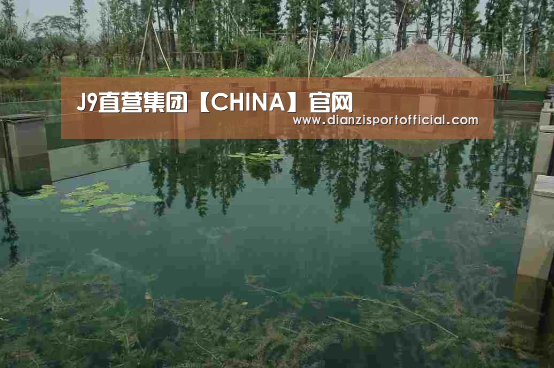 案例展示二(图1)