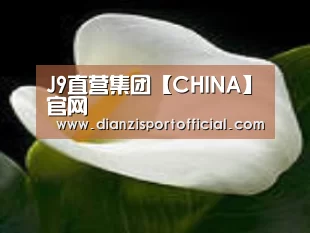 产品名称七