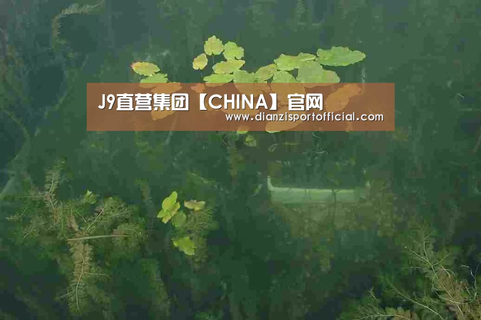案例展示三