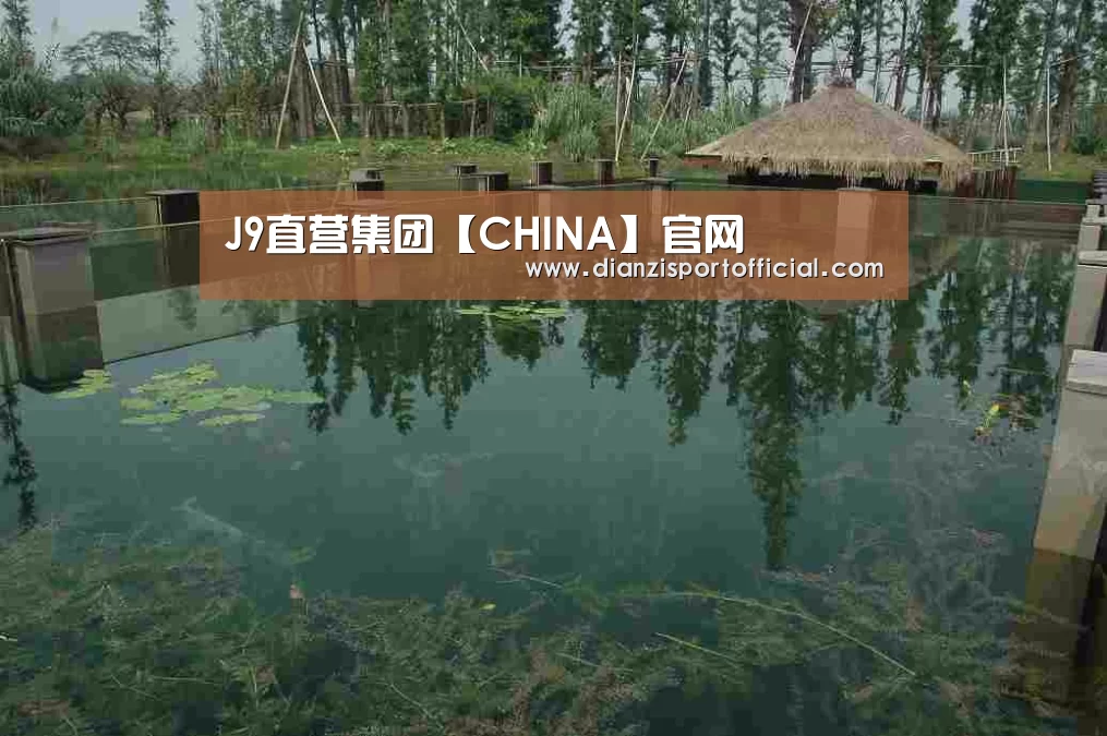 案例展示二