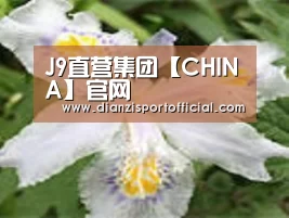 产品名称二