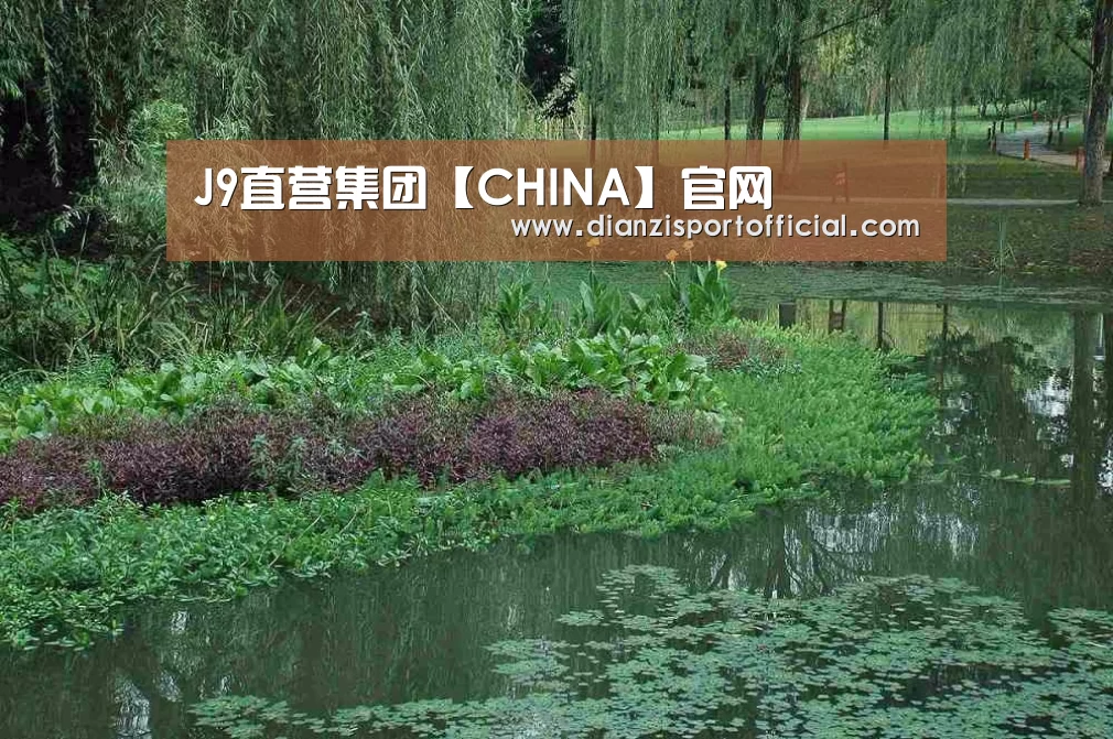 案例展示一