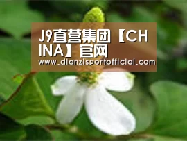 产品名称三