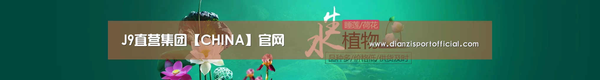 鲜花水草花卉网站模板