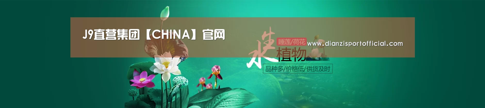 鲜花水草花卉网站模板
