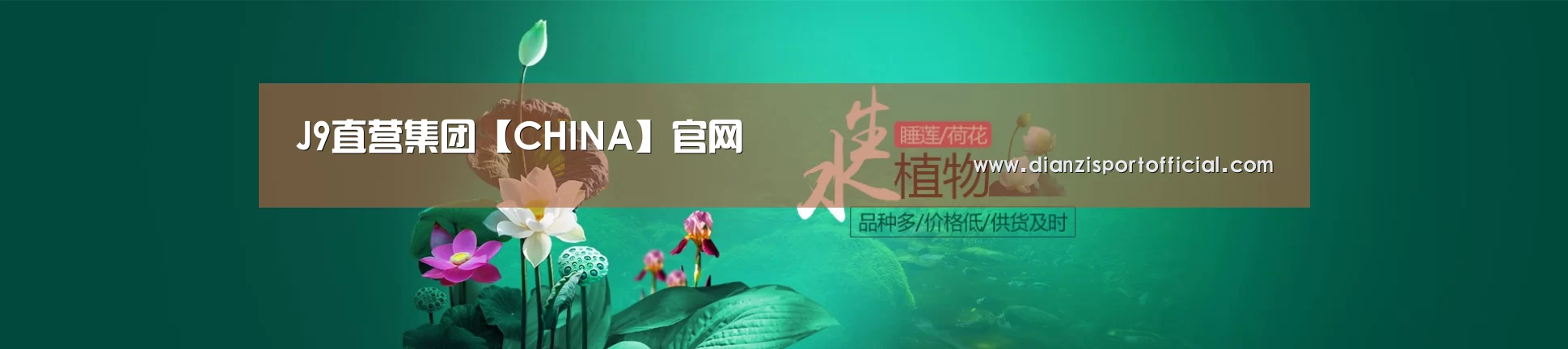 鲜花水草花卉网站模板